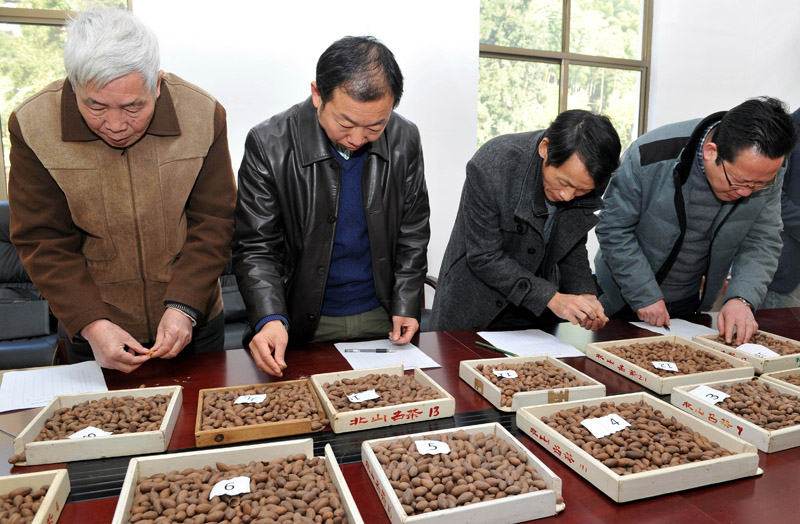 1210գ㽭ʡĻϣר鼵ֳ