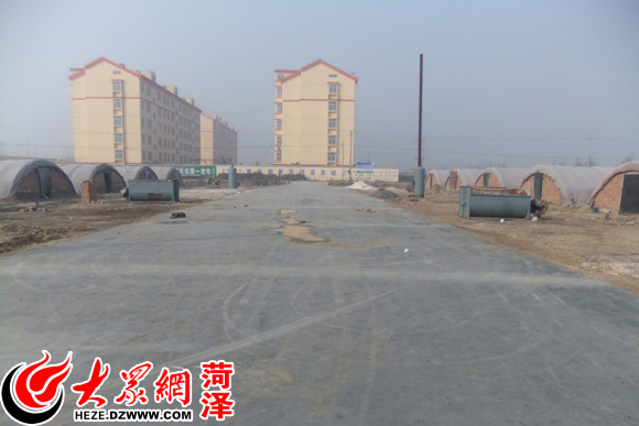 大王庄大棚场地建成后的水泥路面
