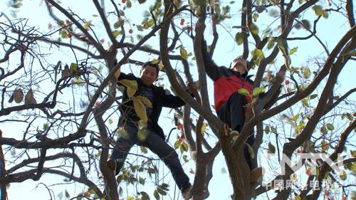 ϻУɽﾪϲĲƸ¸ͼ1