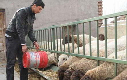 �½�������������ֳ ���߹�ģ