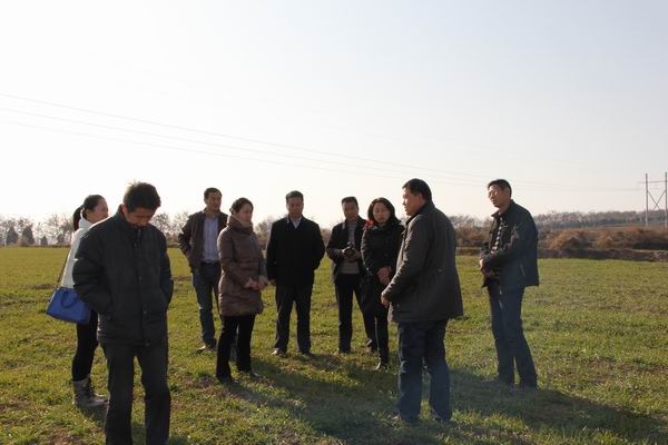 甘肃省农机局检查麦积区保护性耕作项目建设情况