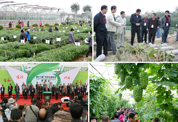 ۼΪʵ 㶫ֲ5900Ʒͷֳ