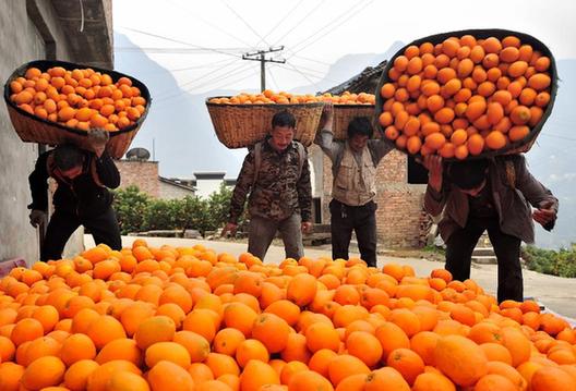 1215գʡعҰ̵ƱĹũ˸մӹ԰ժȡ