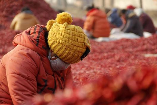 1214գںʡڻгũڷּ