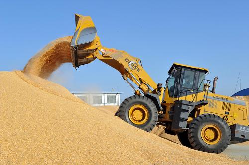 内蒙古粮食“十连丰” 增幅增量全国第一
