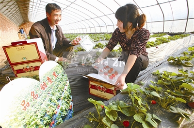 ������������ݮ��������