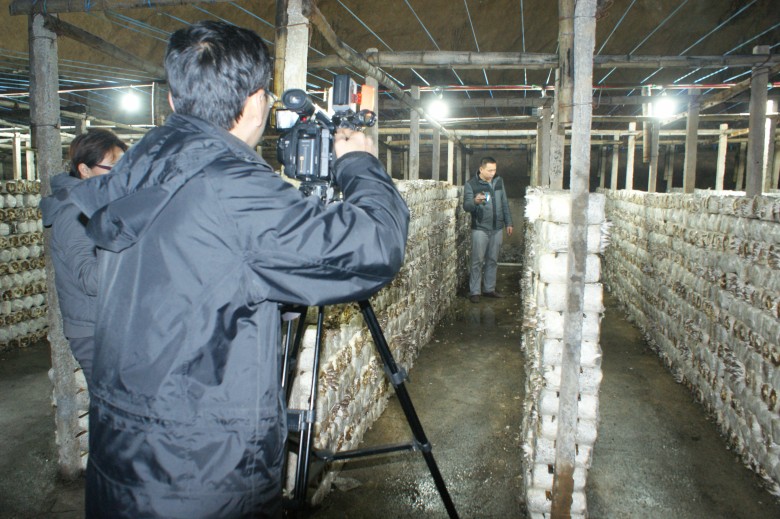 广西永福:食用菌生产技术专题教学片入洞拍摄