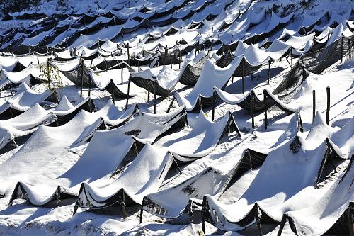 1217ʡϽҩȱѩǵҩ