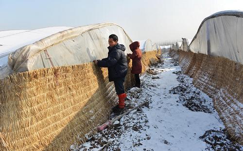 1218գɽʡƽظ½ֵܶ壬ũڵɻӣӦѩ¡