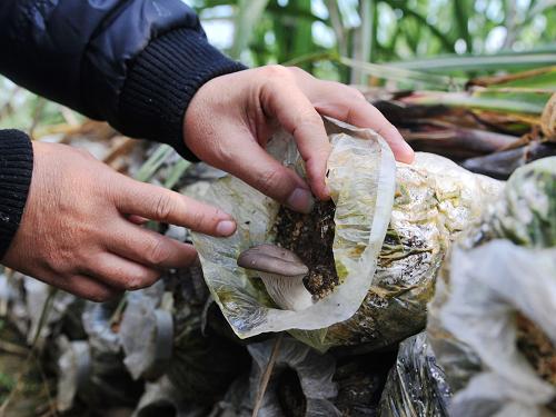 øҶʳþг۸6Ԫһ1218գ