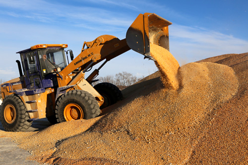 黑龙江省粮食总产跃上1200亿斤台阶