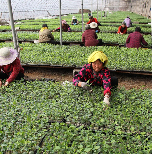 1219գɽʡһĵĹڹƹ硣