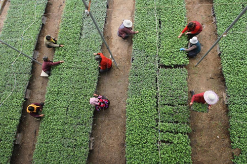 1219գɽʡһĵĹڹƹ硣