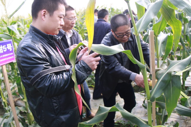 רѧ۹㶫ݹͬײʳײҵչ