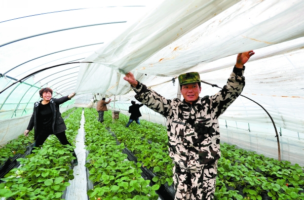 �㽭�ݮũΪ��ݮ������¡�