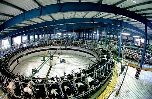 Ǻӱżҿִҵ޹˾תʽ̳䣨1219㣩