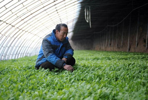 1220գڹ̰˳իϲֲרҵ磬Աڲ鿴ﳤơ