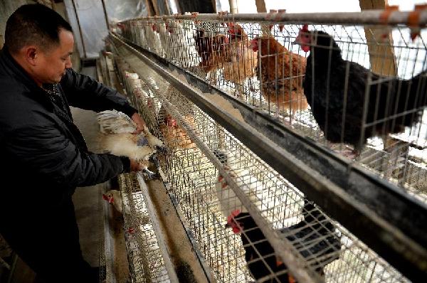 ץֻ˲μļ﹦Ŀǰļ9000Ԫ1223㣩