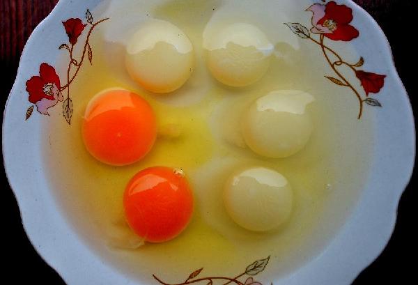 Ǵ򿪺ͨɫ빨ġ˲μԱͼ1223㣩