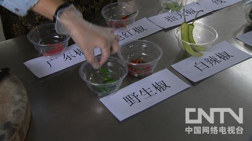 广西壮南宁:辣椒妹的火辣财富(致富经)(图:1)