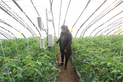 1224գӱʡȷйũʹũС۲ǡͨũС۲ǣũɵõ¡¶ȡʪȡǿȵϢԱ㼰ʱе