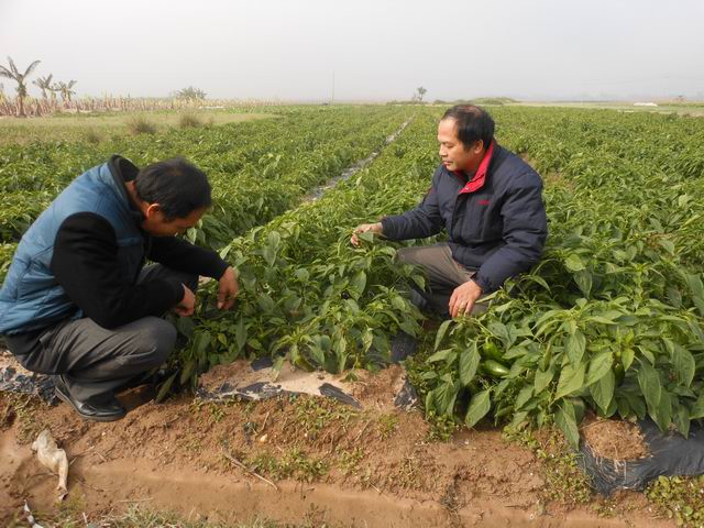 ֲֲվչﶬ˲溦μָ