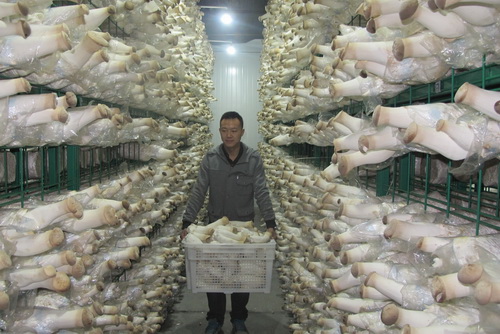 1226գ½λ԰ũҵƼ޹˾ԱڲʳþУr2ֶࡣ