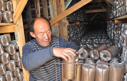 �����������غ�ľ�������Ȼ���