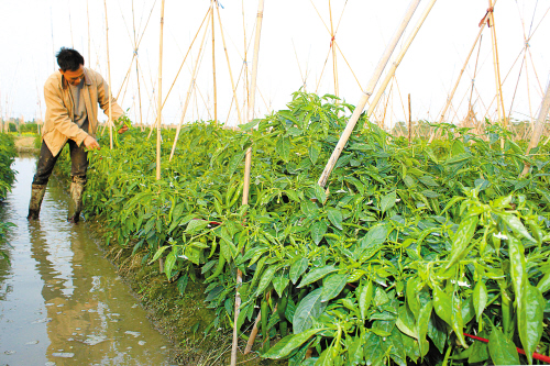 㶫ƽˮĶԼ׬1.5Ԫ