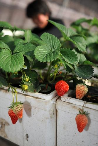 1230գںӱʡɽ؂D.P.Oũׯֲǰջݮ