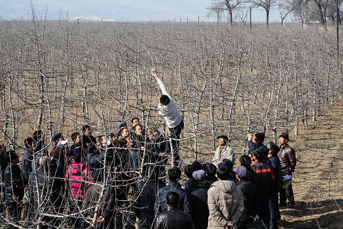 1230գʡذصũҵԱ򵱵ũʾΪ֦ļҪ㡣