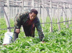 ��������������չ��ʩũҵ�ٽ�ũ������