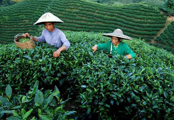 ƽв衱 䡰ϡΪ ҵҵ