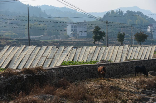 Դլһ׷۸ɼӹ⣬׷۸ɹҰ14㣩