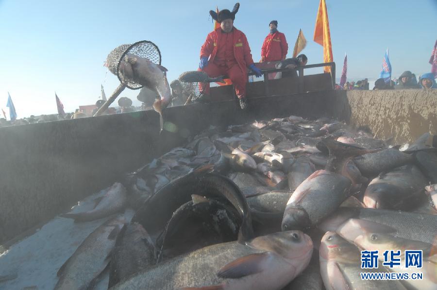 ������ĵ������������������������Ļ