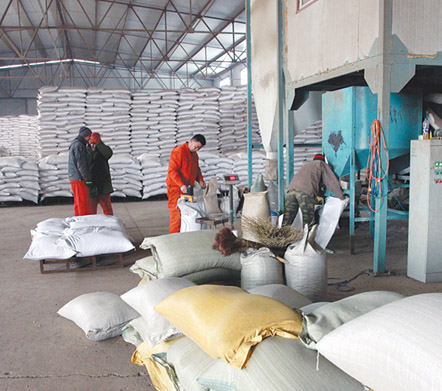 ������������������������������������