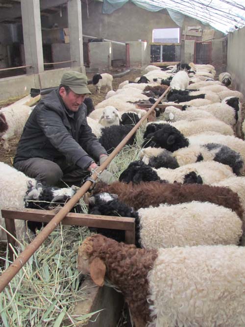 �½����Ŷ�������������ɽ��������״��ݱ�