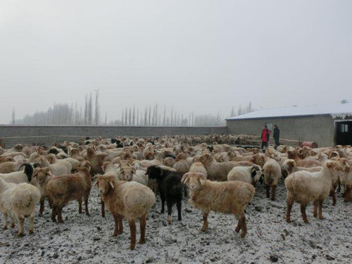 ½ŵʦһŹģְֳ̾¸·