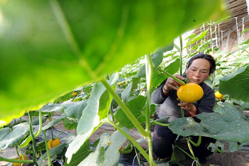 19գںӱʡصһ߲˴ڣһλũڲ鿴ϵ