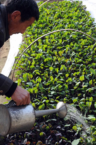 19գںӱʡصһ߲˴ڣһλũΪϸ罽ˮ