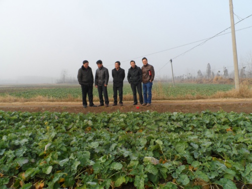 ŷ2013ﶬͨƸũҵ֯ļ