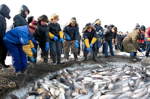 111գڼʡԾˮ⣬µ㡣