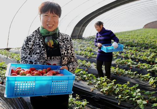 110գ׶˼ݶݮֲ԰Ĺڴժʲݮ