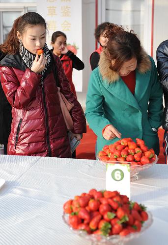 110գڰ׶˼ݶݮֲ԰Ʒݮ