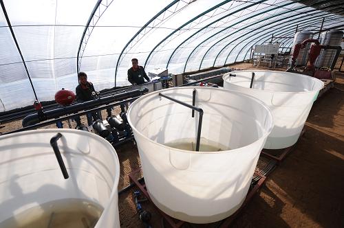 110գ׶˼ݶݮֲ԰ļԱڲˮһ廯ι豸豸ͨȷⶨιˮӪɷ֣ݲݮ裬ȷӷϣʵֽԼЧ