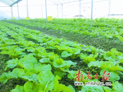 㶫ˮũ硰 ƽũҵӪϵ