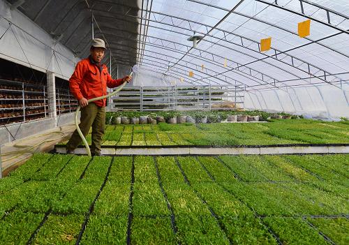 115գɽīնʢ̫ũׯңũѧڡΪлѿ罽ˮ