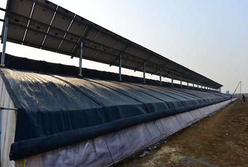 115ɽʡīնʢ̫ũׯ⾰