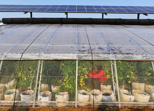 115գɽīնʢ̫ũׯңũѧڡл߲ˡ