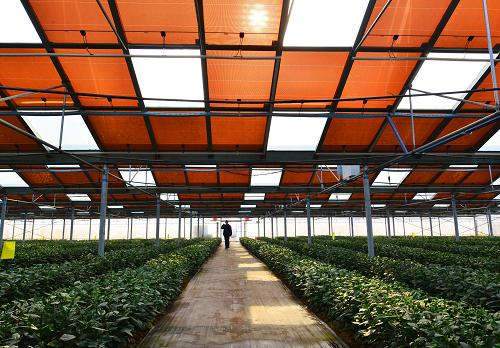 115գɽīնʢ̫ũׯһũ߹С